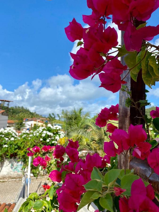 Aurora Hostel Praia de Pipa Dış mekan fotoğraf